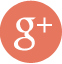icon-social-google